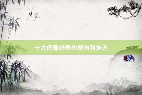 十大低廉好养的宠物狗推选